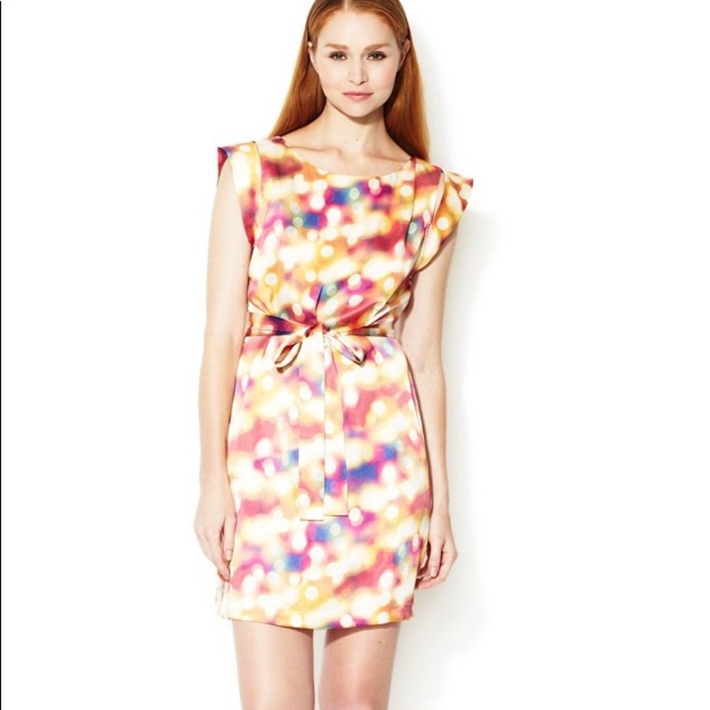 Ali Ro Kink 100% Silk Dress Sz8 NWT